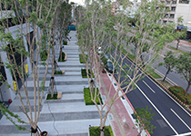 國泰建設-文林苑-載重層15cm+石材(團貼)